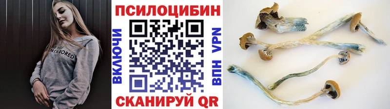 Галлюциногенные грибы Psilocybine cubensis  даркнет наркотические препараты  Чулым 