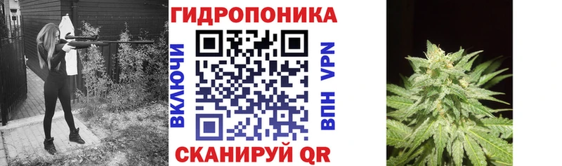 KRAKEN маркетплейс  Чулым  Бошки Шишки AK-47  купить закладку 